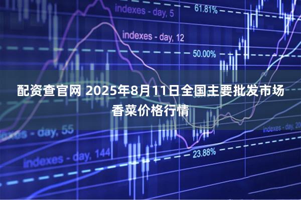 配资查官网 2025年8月11日全国主要批发市场香菜价格行情