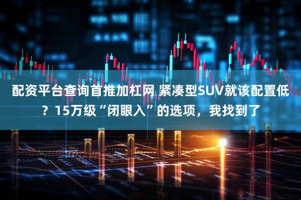 配资平台查询首推加杠网 紧凑型SUV就该配置低？15万级“闭眼入”的选项，我找到了