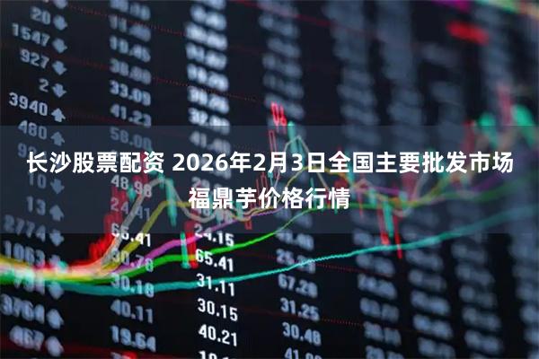 长沙股票配资 2026年2月3日全国主要批发市场福鼎芋价格行情