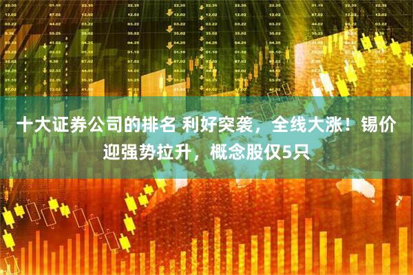 十大证券公司的排名 利好突袭，全线大涨！锡价迎强势拉升，概念股仅5只